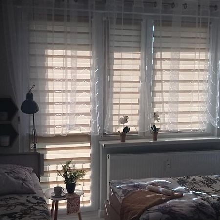 Apartament Klonowa 波兹南 外观 照片