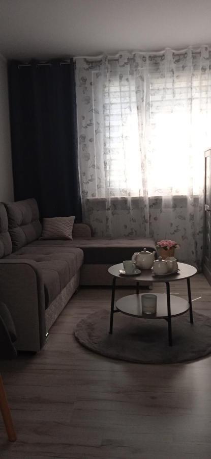 Apartament Klonowa 波兹南 外观 照片