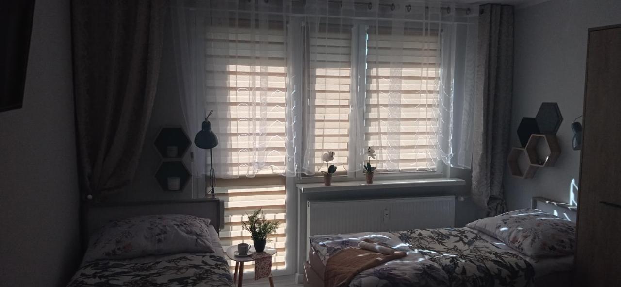 Apartament Klonowa 波兹南 外观 照片